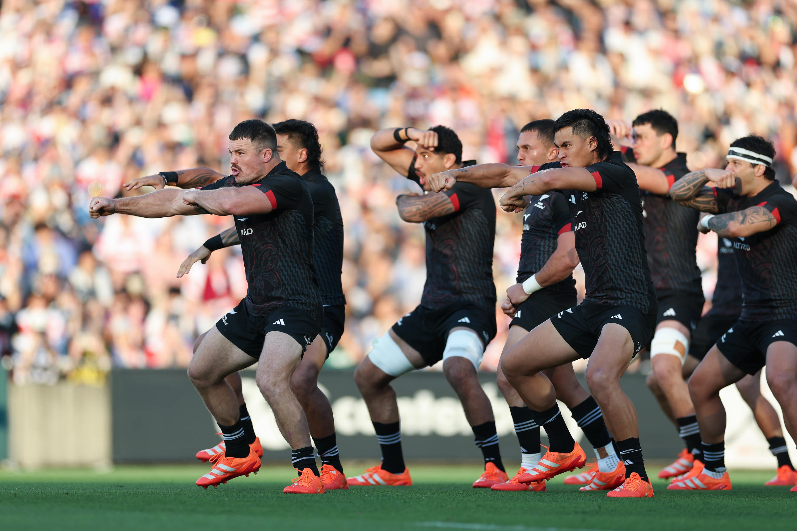 楕円球大言葉】マオリ・オールブラックスの「勝ち越し」とジャパン