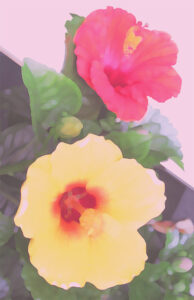 ヒロヤマガタ シャンゼリゼの花火 | 絵画など美術品の販売と買取