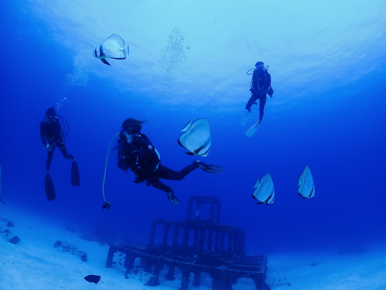 渡嘉敷島ダイビングサービス リラックスアイランド | 沖縄観光情報WEB