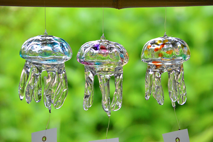 涼やか…京都水族館で恒例「くらげ風鈴」、衝撃のフードも | Lmaga.jp