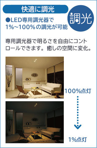 DAIKO 大光電機 小型ペンダント DPN-41578YG | 商品紹介 | 照明器具の