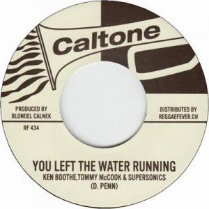 Rock Steady | LION MUSIC DEN