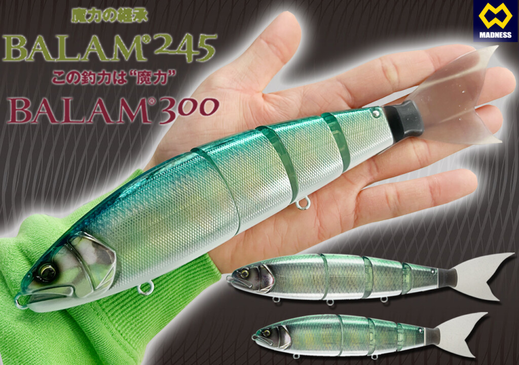 2個だけ持って行けるとしたらコレを選ぶ】見た目と泳ぐ姿は正に本物の