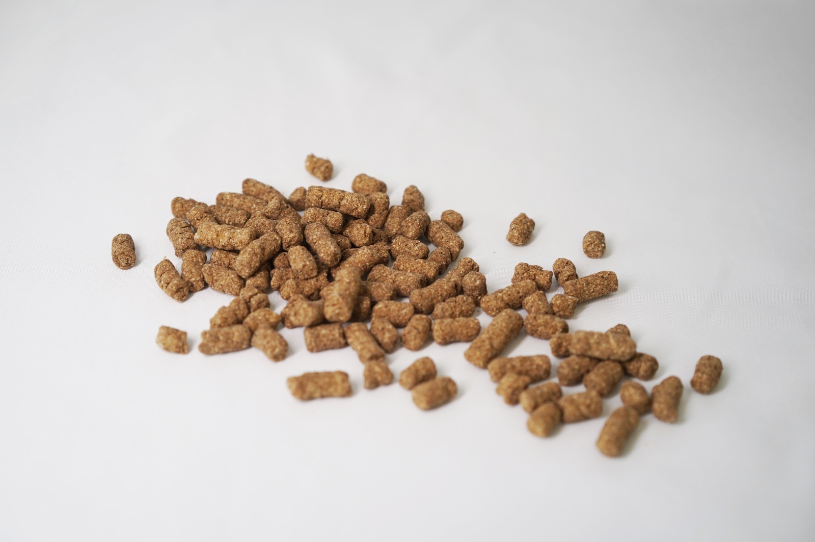 FISH &HORSE】シュナウザー・テリア専用ドッグフード1kg袋