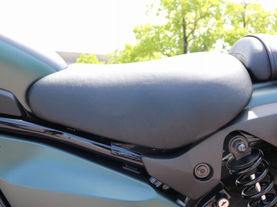 エリミネーターSE スクリーン、ハイシート、リアキャリア、バッグ