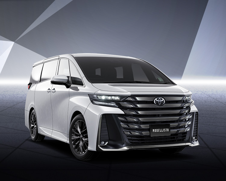 VELLFIRE（ヴェルファイア） エアロラインナップ（BEAST RAZOR STYLE