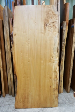 天然木 東京 新宿 東五軒町展示 楠（くすのき）材 一枚板 セール｜一枚