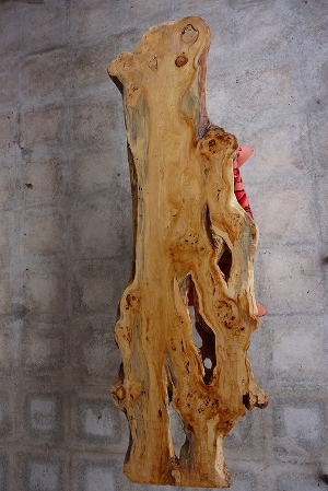 天然木 新潟工場 ポプラ瘤（バール）材 一枚板 カウンター、テーブル用