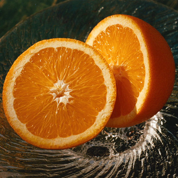 Ruby Valencia Apricot Fruit Spread – Marmalade Grove