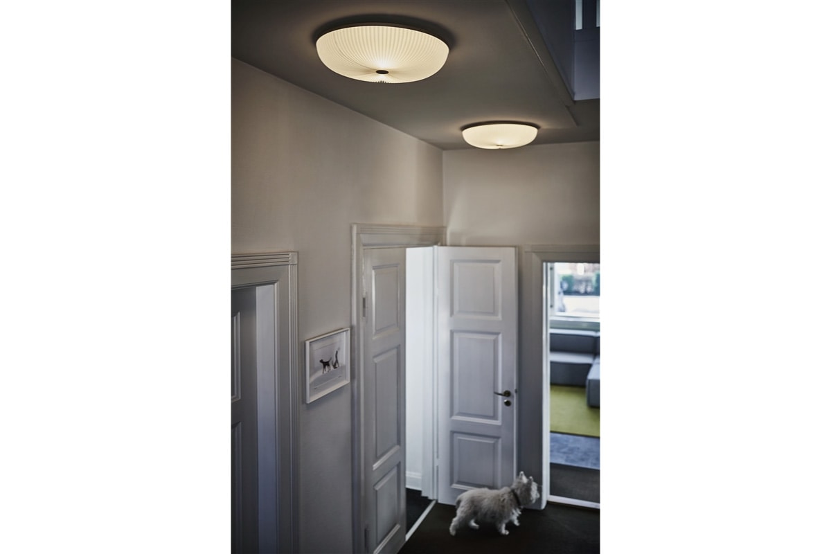 CEILING LAMELLA 50の通販 / マスターウォール