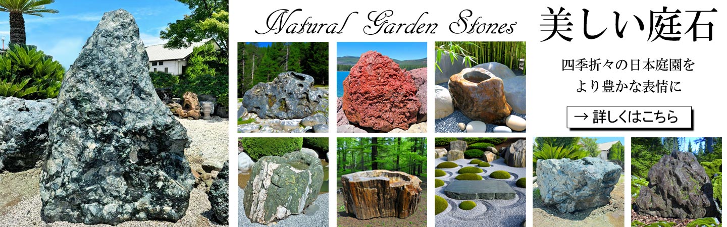 本象牙『錦鯉額入』【6】