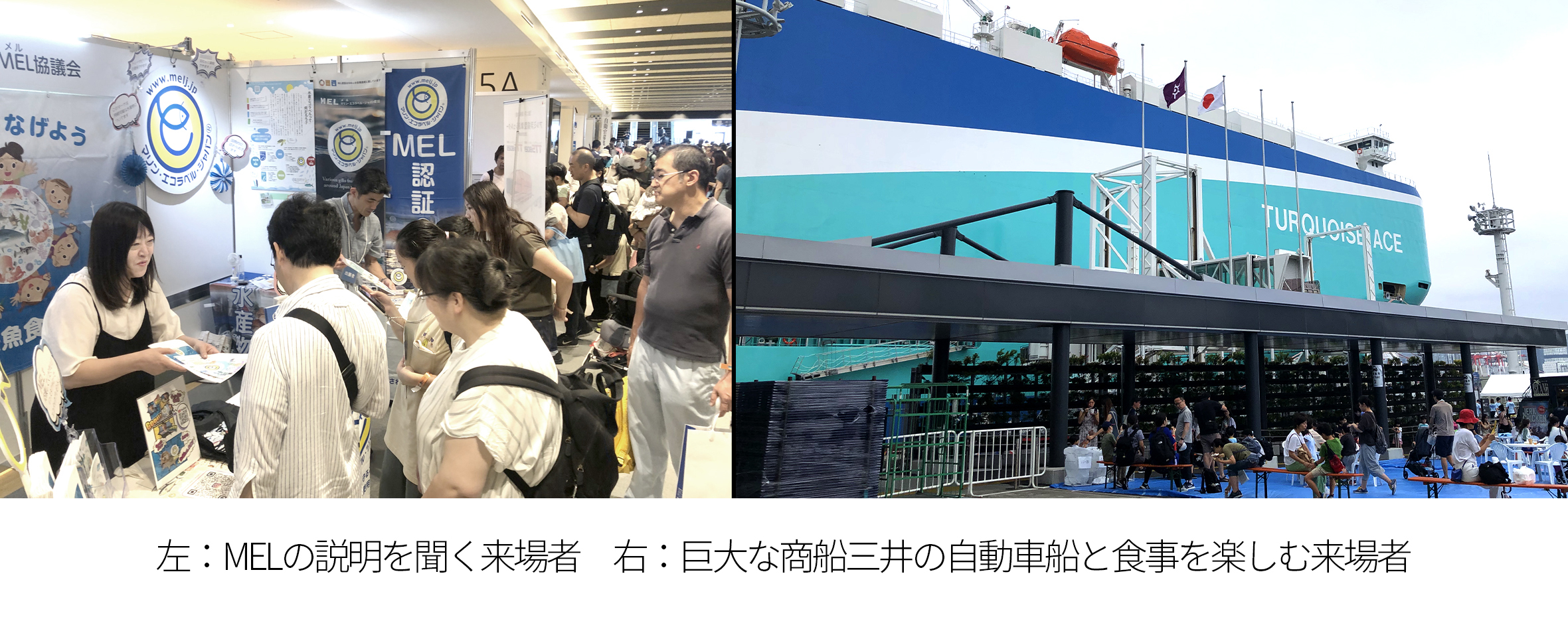 MELニュース2024年7月 第76号 | 未来につなげよう海と魚と魚食文化