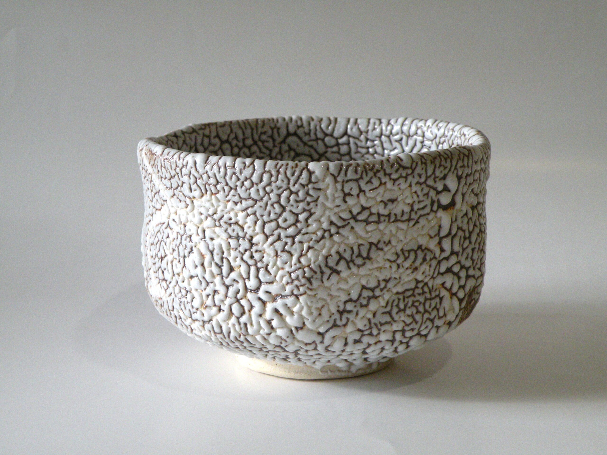 美濃焼伝統工芸品協同組合 | 乾山写雪松深向付