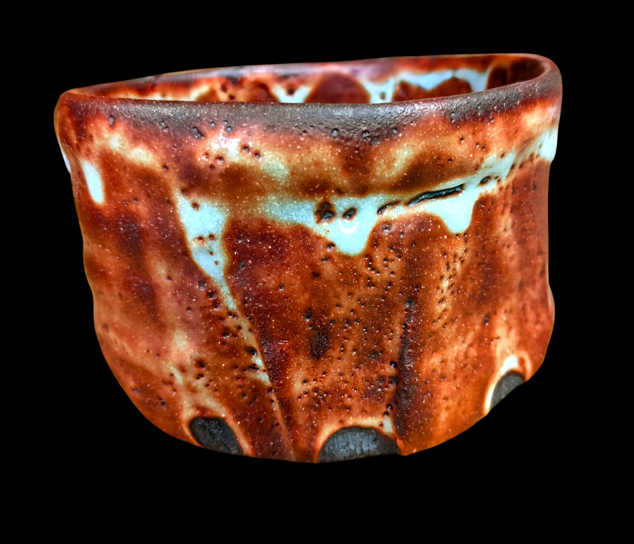 美濃焼伝統工芸品協同組合 | 乾山写雪松深向付