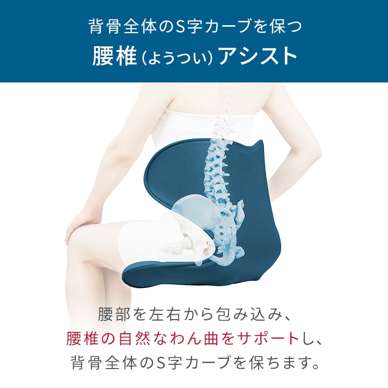 姿勢 骨盤 テレワーク】スタイルスマート（Style SMART） | MTG ONLINESHOP