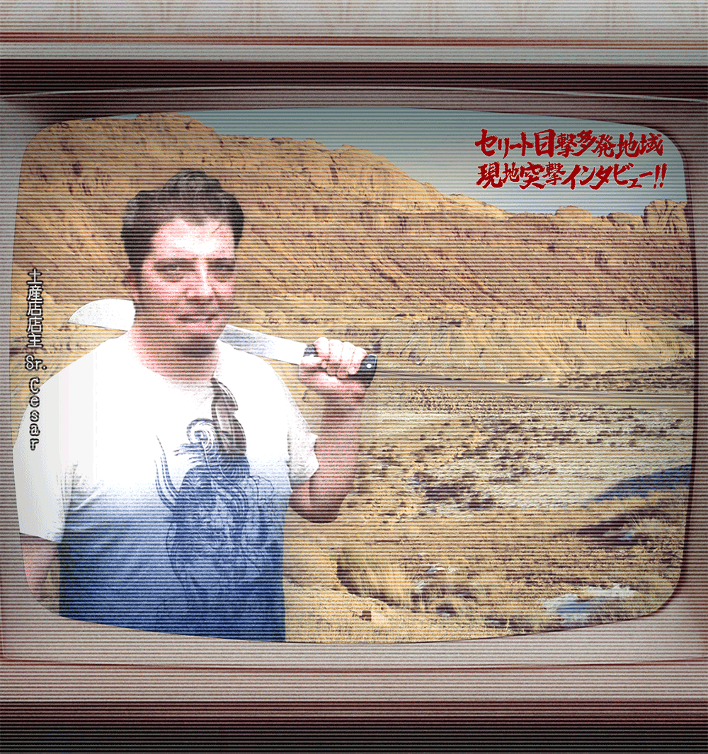 南米の妖怪オリジナルキャラクター『CERRITO(セリート)』 | 株式会社