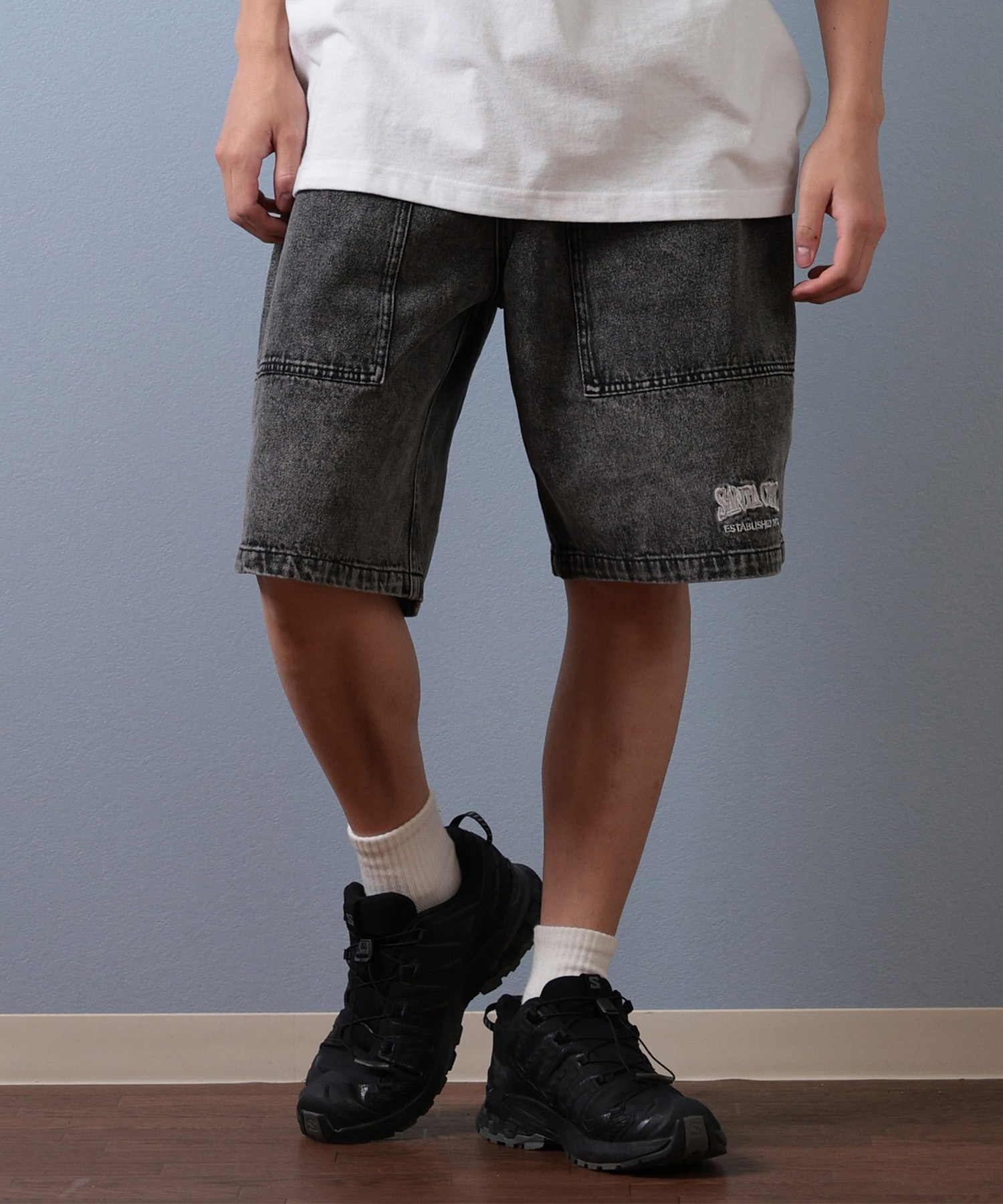 SANTA CRUZ サンタクルーズ ハーフパンツ ショートパンツ メンズ