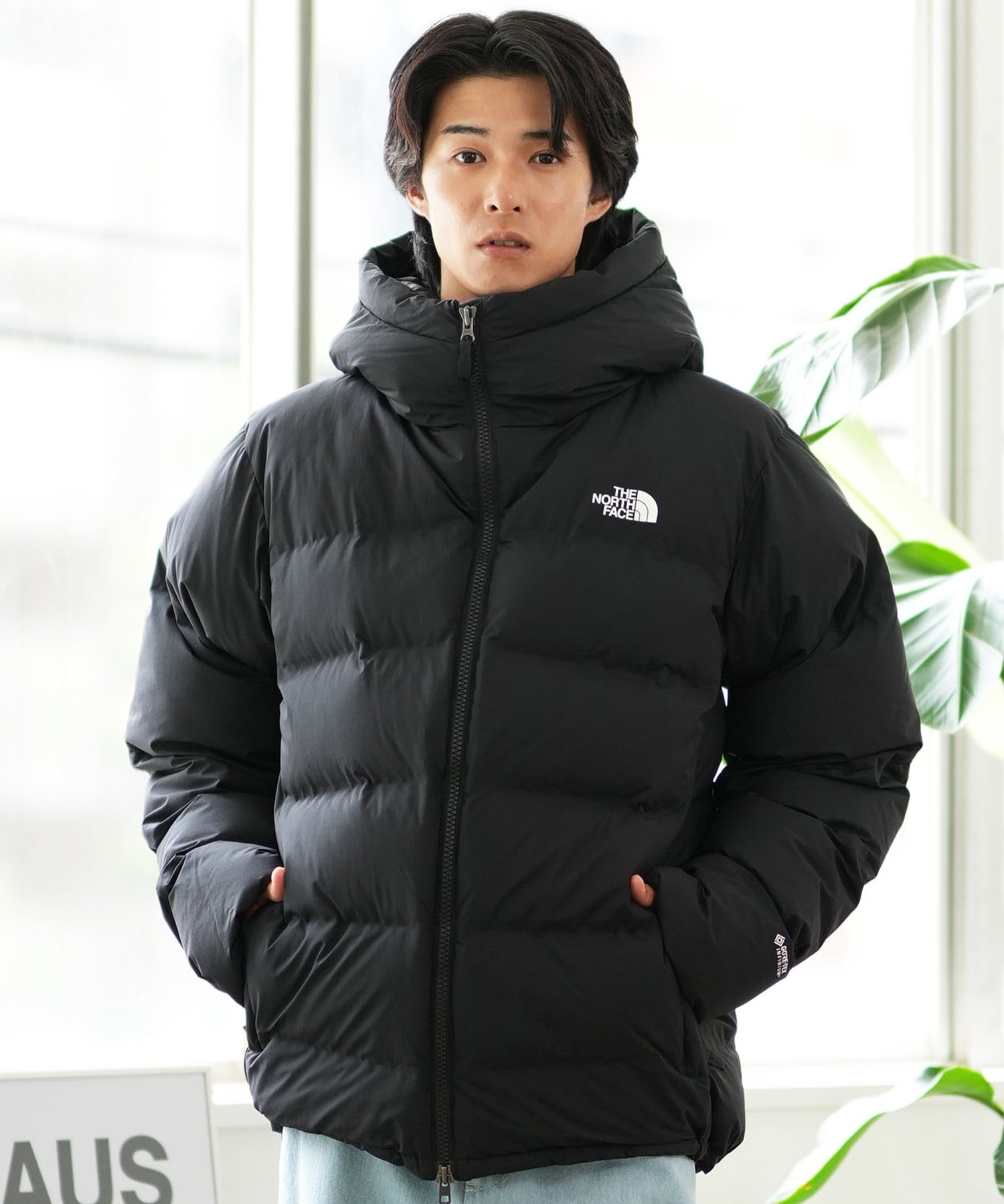 THE NORTH FACE ザ・ノース・フェイス アウター ダウン 中綿 メンズ