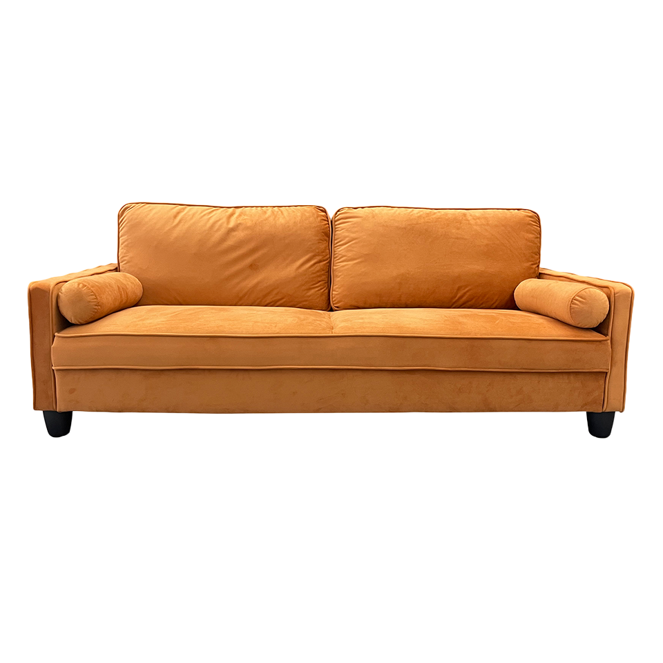 ソファFK9748 2人掛け【送料無料】キャメル | NOCEノーチェ 家具