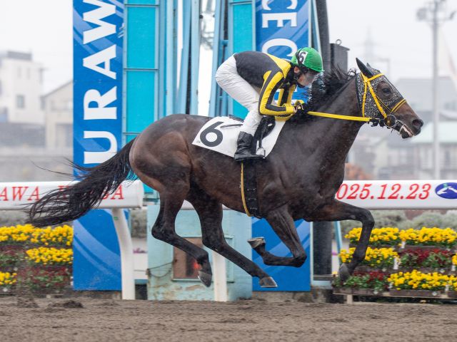 所属馬詳細（オンサイト） | ノルマンディーオーナーズクラブ