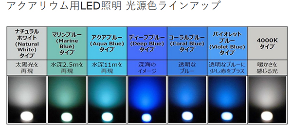 京セラ CERAPHIC LED 大型タイプ100W ディープブルー - 海水魚ショップ