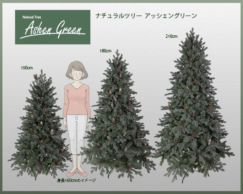 Nakajo's Christmas クリスマスツリー販売 ナチュラルツリー アッ