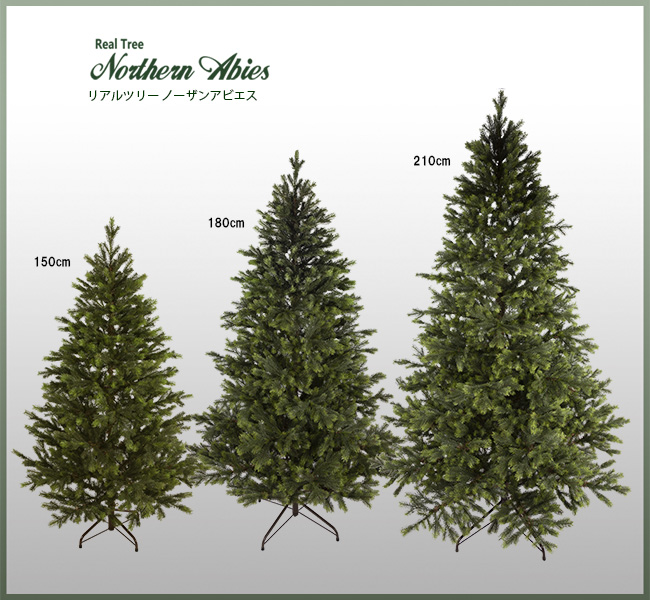 Nakajo's Christmas クリスマスツリー販売 リアルツリーノーザン