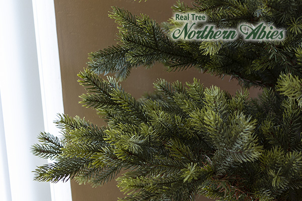 Nakajo's Christmas クリスマスツリー販売 リアルツリーノーザン