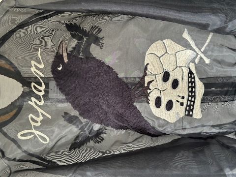 KAPITAL (キャピタル)シアーパール モスキートガードスーベニアJKT