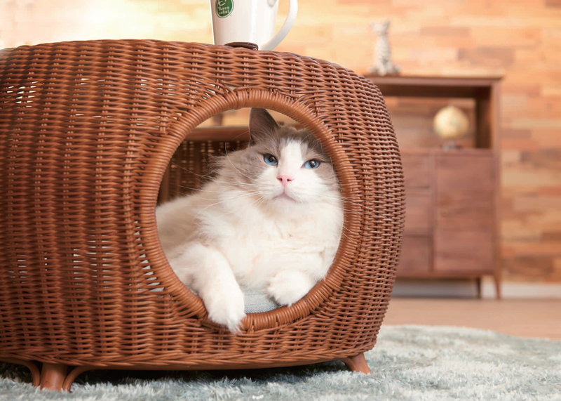 ネコセカイ 公式オンラインショップ / rattan table