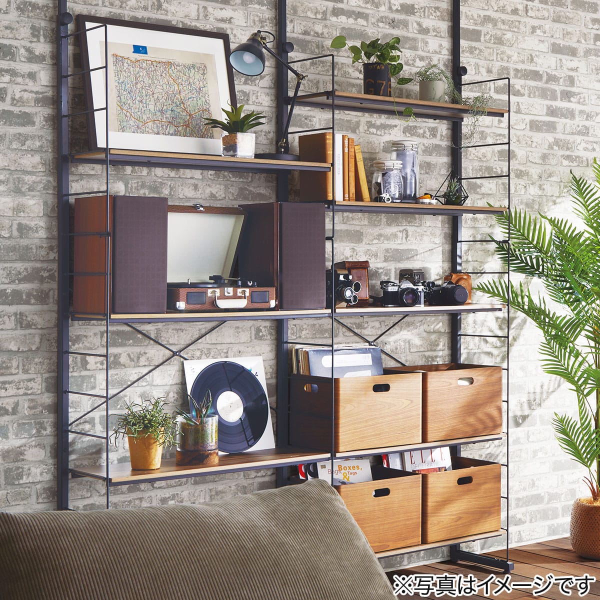 Nポルダ用】 追加棚板(幅80cm用 ミドルブラウン) | ニトリネット【公式