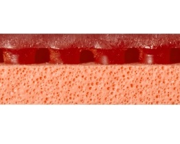 キョウヒョウプロ3-TURBO ORANGE- | Nittaku(ニッタク) 日本卓球