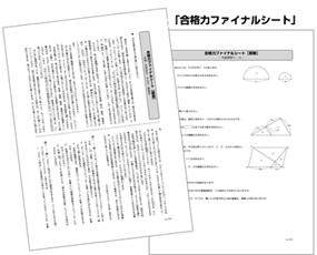 合格力完成テスト・ファイナル256｜日能研 全国公開模試
