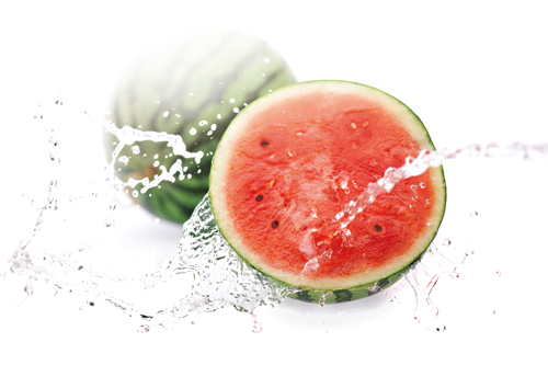 アクティアージュ パスティーク ＋＜ハリ・うるおいジェル＞ | 洗顔