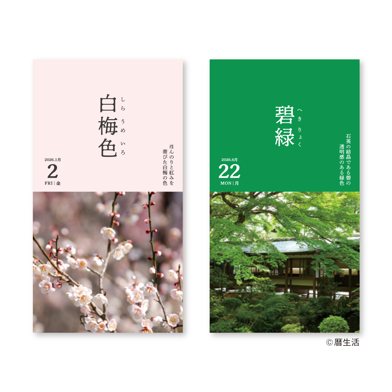 にっぽんのいろ日めくり｜日めくりカレンダー｜カレンダー｜商品を探す