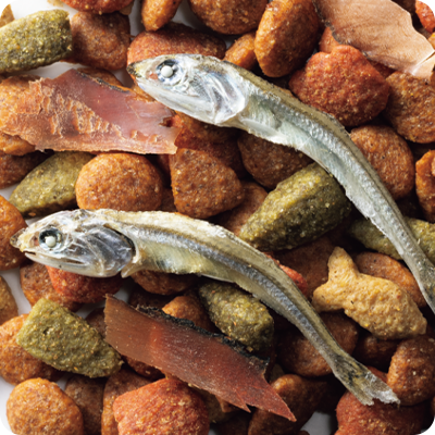 コンボ キャット まぐろ味・かつお節・小魚添え | 日本ペットフード