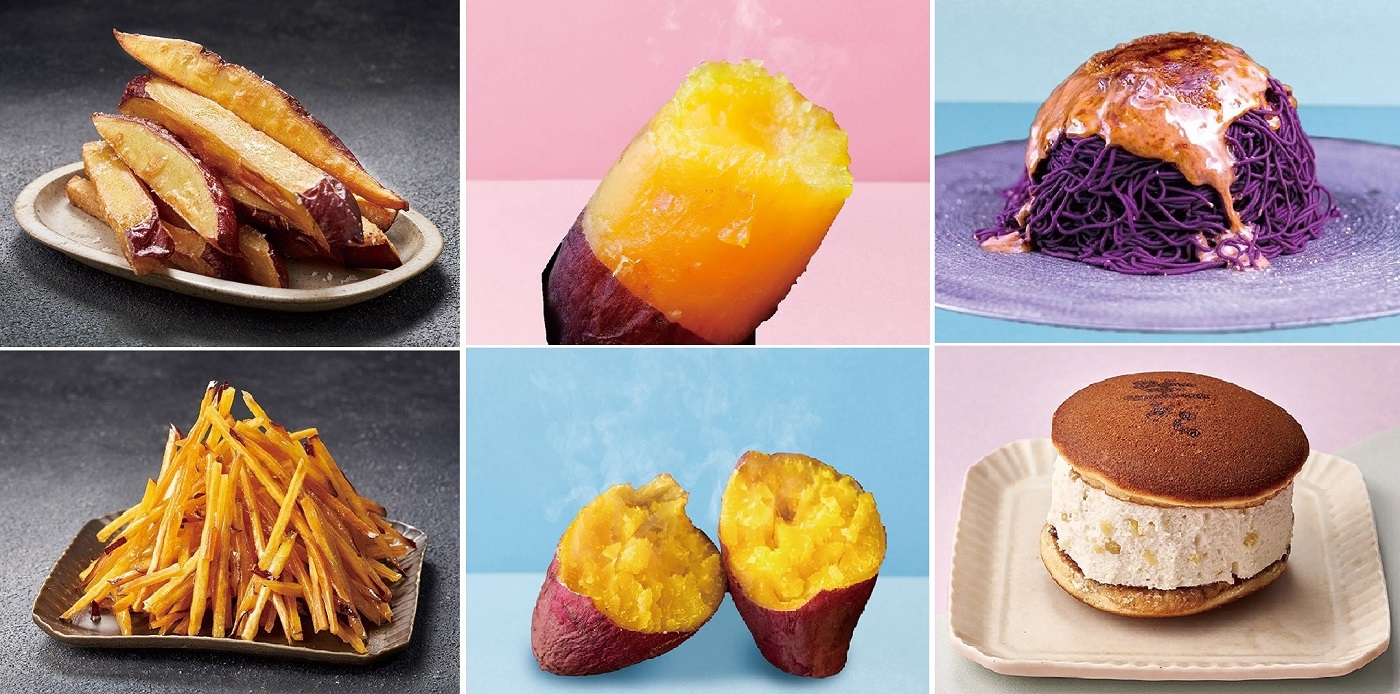 K11 催事イベント 第3回 芋博｜SEIBU SOGO TransCulture | 西武