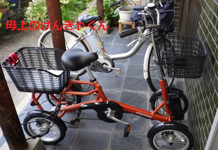 4輪電動アシスト自転車けんきゃくん | さえないおっさんぶろぐにちょう