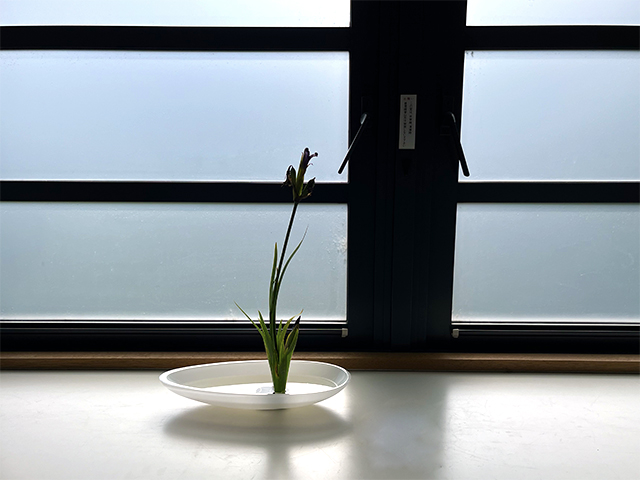 キャンディ嵯峨御流 花器➕ 七宝 剣山付七宝（三ツ輪）中 - いけばな