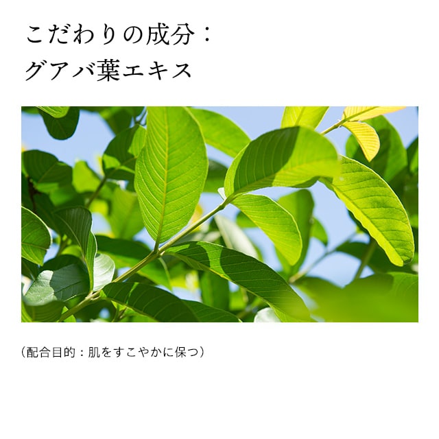 ドモホルンリンクルの『泡の柔肌パック』の商品詳細と使い方｜基礎