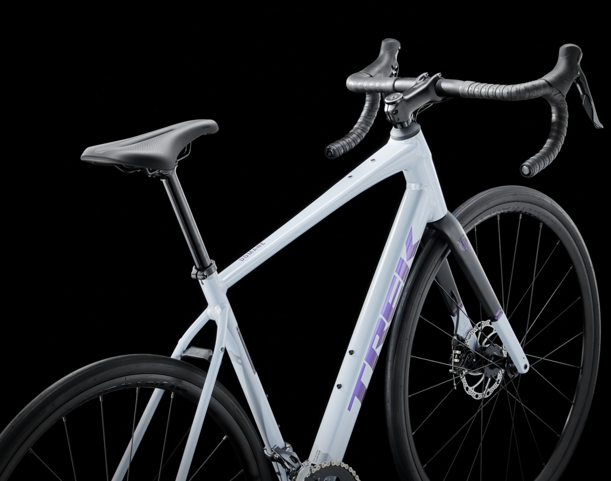 Trek Domane AL 2 Gen 4 - Trek Bicycle Store of Charlotte | North