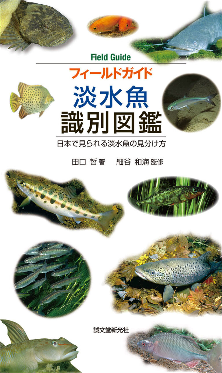淡水魚 識別図鑑 | 株式会社誠文堂新光社