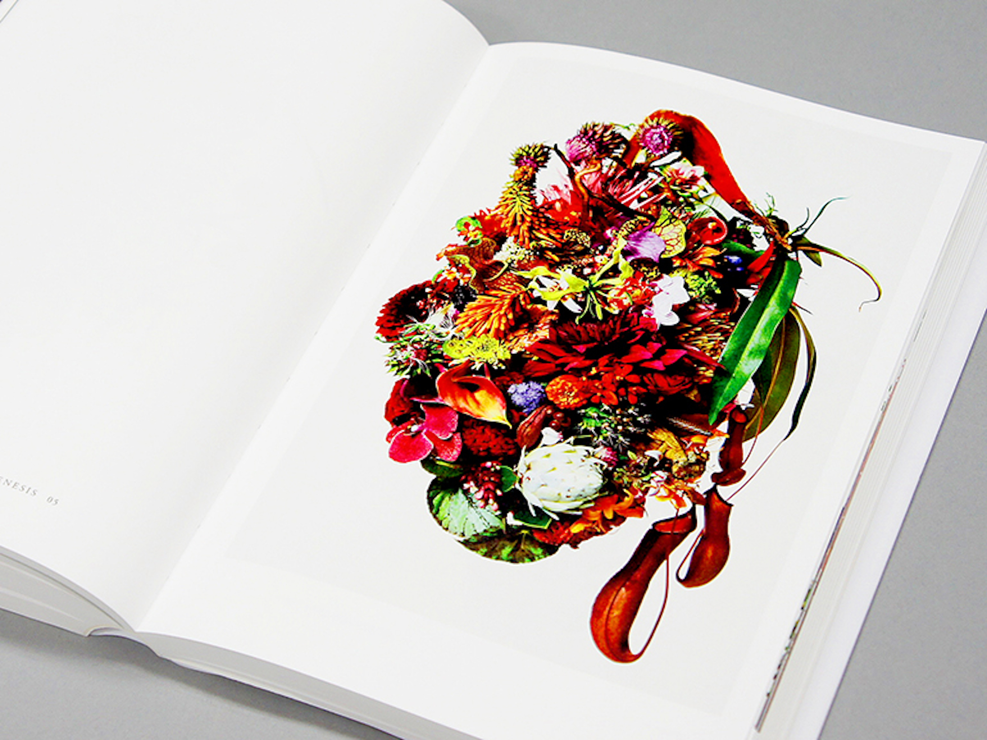 ENCYCLOPEDIA OF FLOWERS Ⅲ 植物図鑑｜青幻舎 SEIGENSHA Art