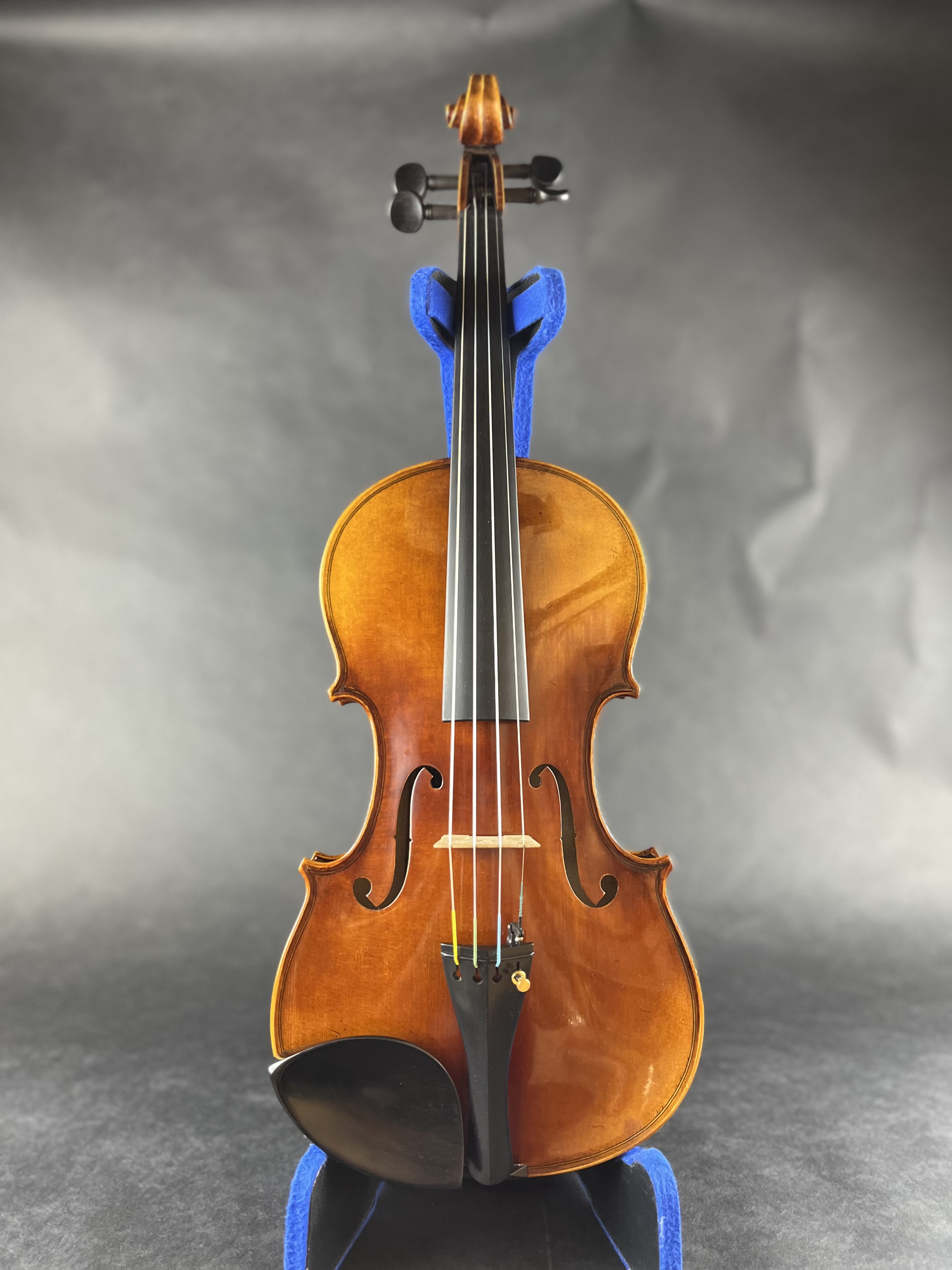 弦楽器】総合案内ページ｜島村楽器 イオンモール筑紫野店