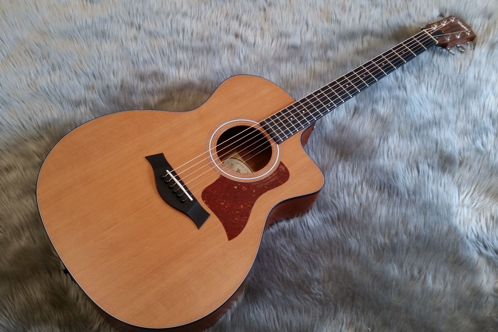 Taylor】エレアコ定番の100番台がお得に！114ce Japan Limited 2016が