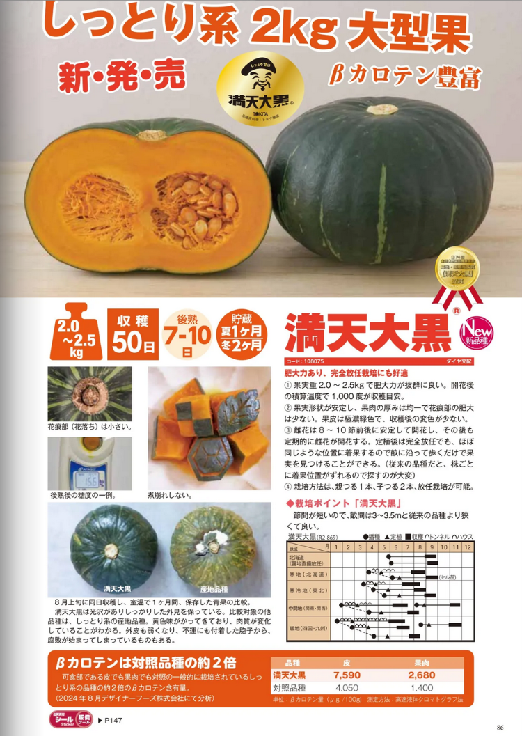 カボチャ種子】 トキタ種苗 「満天大黒（まんてんだいこく）」 野菜と