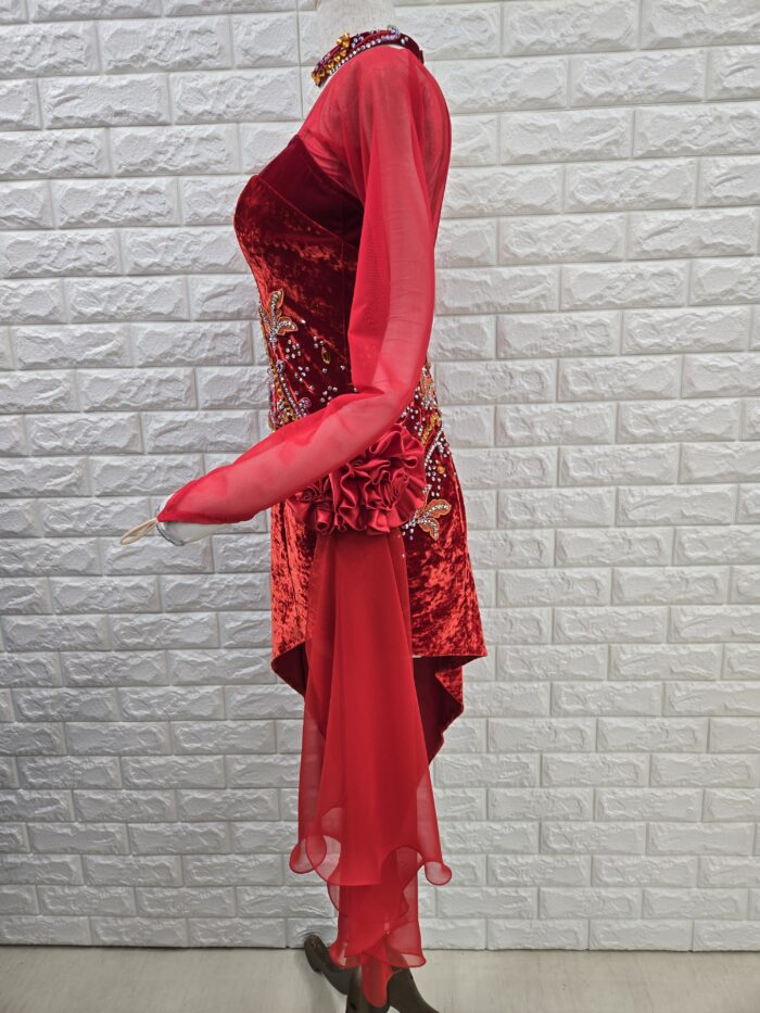 試着・レンタル・購入】社交ダンスドレス Lサイズ レッドラテンドレス