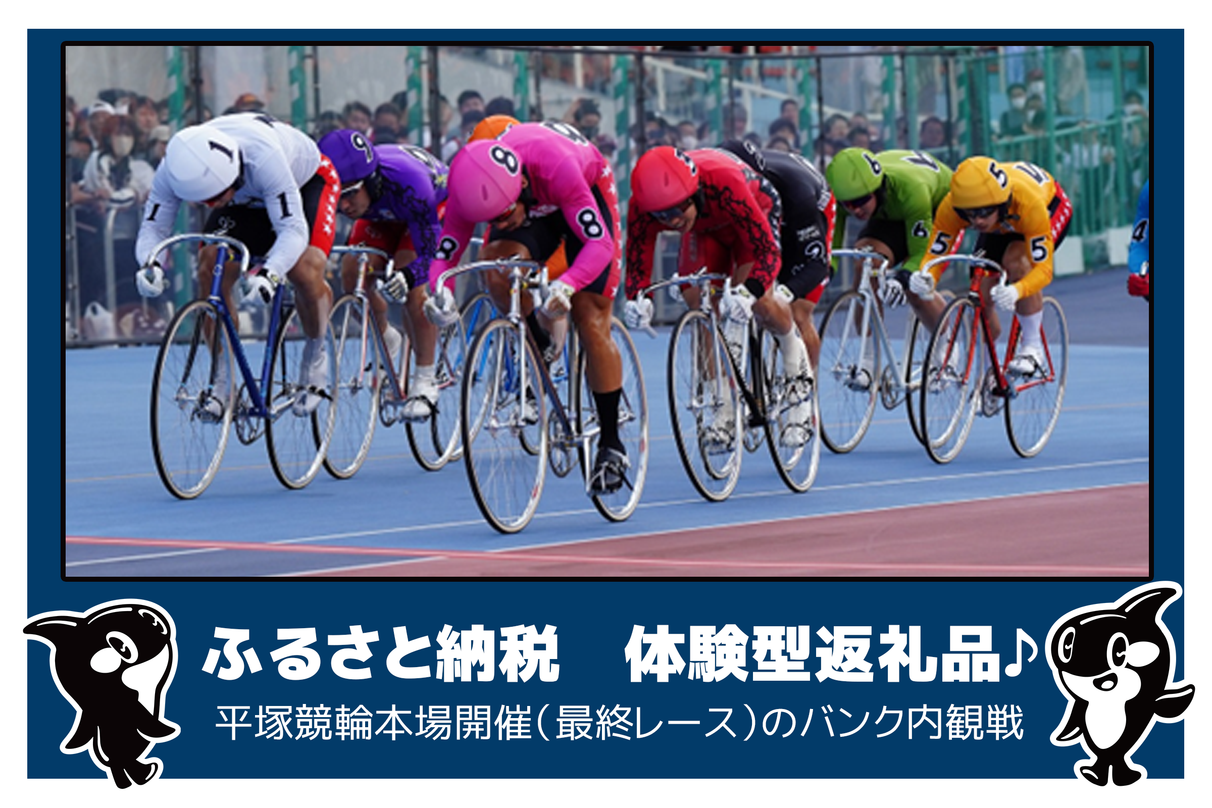 令和8年上半期受付開始 ふるさと納税 体験型返礼品 平塚競輪本場開催