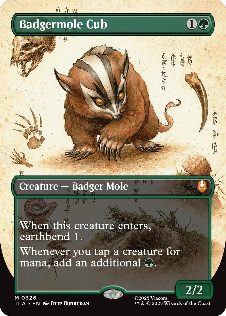 アナグマモグラの仔 英語 アナグマモグラの仔/Badgermole Cub (全面