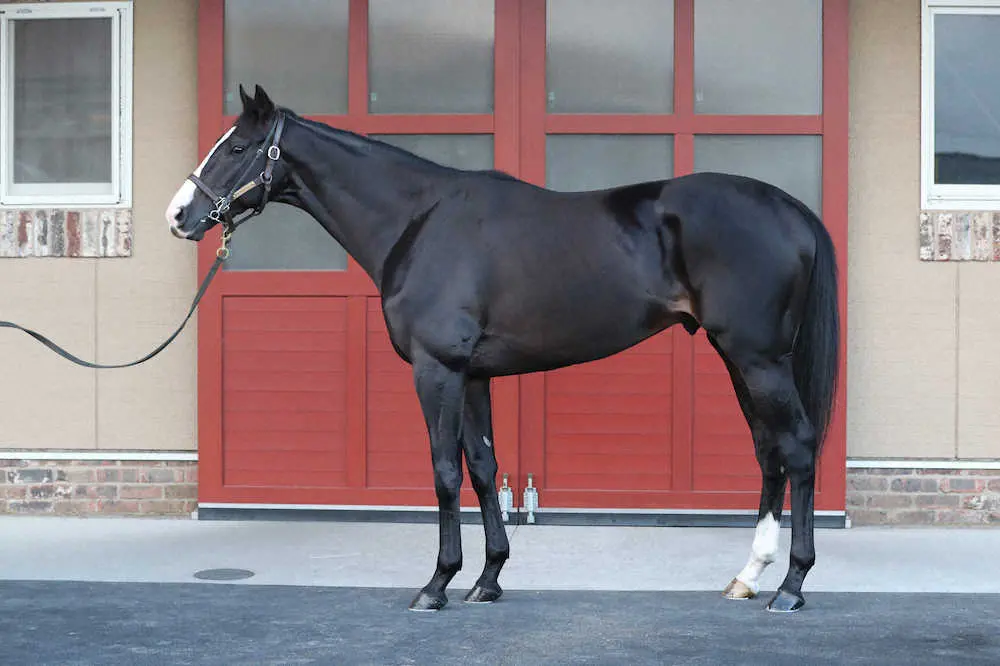 天皇賞・秋】イクイノックス95点 3歳夏を越して目を見張る急成長